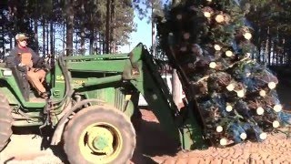 Christmas Tree Harvest at Dutchman Tree Farms [upl. by Abeu]