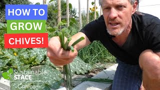 How To Grow Chives [upl. by Erdreid]