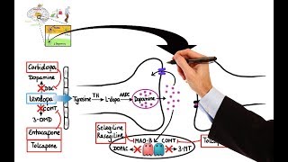 Pharmacology  DRUGS FOR PARKINSONS DISEASE MADE EASY [upl. by Erotavlas]