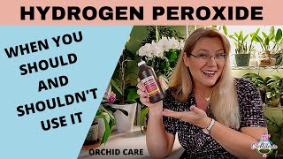 Hydrogen Peroxide in Orchid Care STOP Youre Doing More Harm Than Good [upl. by Alesig]