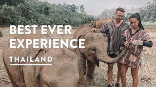 ELEPHANT SANCTUARY 2018 🐘 CHIANG MAI ELEPHANT JUNGLE SANCTUARY CAMP  Travel Vlog 119 [upl. by Kliment523]