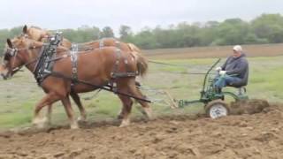 Horse plowing at Rohrer Farm [upl. by Ecnerat]