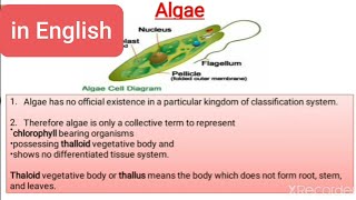 Algae  General Characteristics Thallus structure reproduction classification and economic imp [upl. by Ronald]