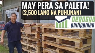 MAY PERA SA PALETA 2500 LANG NA PUHUNAN  Negosyo Philippines [upl. by Hsirk]