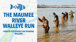 The Maumee River Walleye Run  Tips and Tricks For Walleye Fishing in Rivers [upl. by Ennaul]