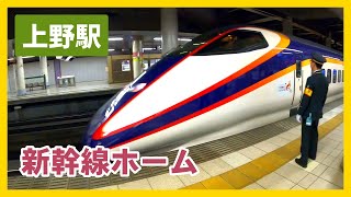 新幹線 上野駅入線・発車  接近放送 Shinkansen arrives at Ueno Station [upl. by Perlie]