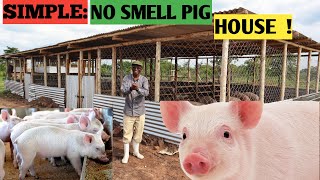 Cost Of Building NoSMELL PIG HOUSE  Simple And Secure [upl. by Ayerdna]