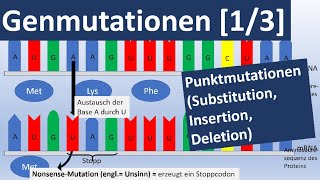 Genmutationen 13 Punktmutationen Insertion Substitution Deletion  Genetik Oberstufe [upl. by Aivalf]