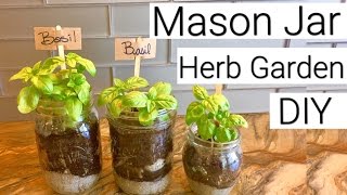 DIY Mason Jar Herb Garden [upl. by Aitsirt]