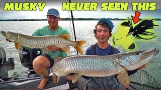 41 MUSKY BITES  Lake St Clair CRAZINESS Part 1 [upl. by Survance]