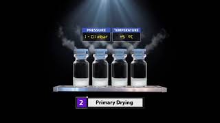 Product Lyophilization Process [upl. by Augustina]