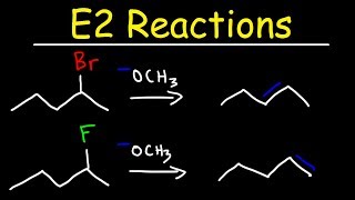 E2 Reaction Mechanism  Hoffman Elimination vs Zaitsevs Rule [upl. by Anekahs928]