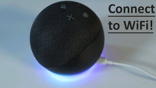 How to Connect Alexa to WiFi  4th generation [upl. by Mazurek159]