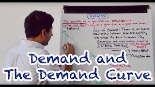 Y1 3 Demand and the Demand Curve [upl. by Elinor627]