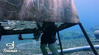 Freedive at Vortex Spring in Ponce De Leon Florida [upl. by Ardnosak]