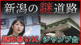 【未知なる道】新潟の謎道路 [upl. by Jovitah]