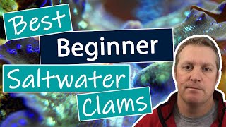 Best Beginner Saltwater Clams [upl. by Nelram389]