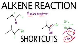 Alkene Reaction Shortcuts and Products Overview by Leah Fisch [upl. by Lenhard]