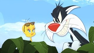 Tweety amp Sylvester  quotYellow Birdquot Song HD [upl. by Oilut]