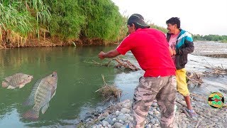 MIRA ASÍ SE PESCAN A LAS TILAPIAS CON ANZUELO  Pesca de Tilapias en Río [upl. by Anua]