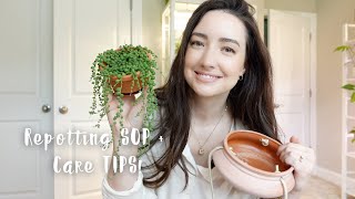 How to Repot String of Pearls plant  Care Tips  Chatty repot with me [upl. by Ronym]