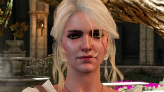 Ciri meets Emhyr  Witcher 3 [upl. by Elicul]