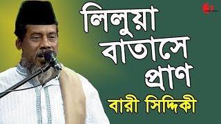 লিলুয়া বাতাসে প্রাণ  Bari Siddiqui  Amar Joto Gaan  Channel i  Iav [upl. by Loutitia629]