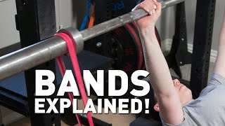 30 Minute Resistance Band Strength Workout With Modifications [upl. by Inalan345]