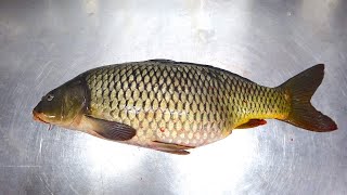 How to Fillet Score amp Fry a Carp  Common Carp [upl. by Nahte]