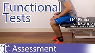 Functional Assessment in Physiotherapy [upl. by Henden]