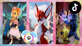 Furry TikToks Compilation 29 [upl. by Eli506]