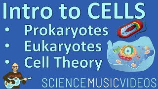 Cells an Introduction Prokaryotes Eukaryotes and the Cell Theory [upl. by Madaras232]