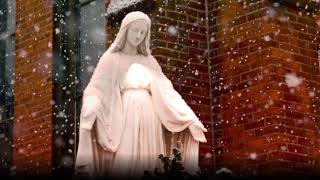 Immaculate Mary w lyrics  Catholic Hymn [upl. by Chico805]