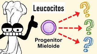 Células Mieloides  Granulocitos Monocitos Dendríticas [upl. by Wahl]