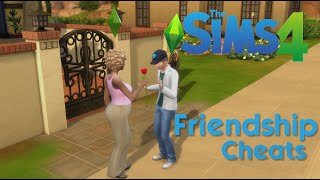 The Sims 4 Friendship Cheats [upl. by Akaenahs]