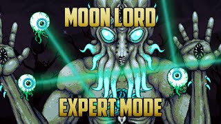 Terraria  Moon Lord Boss Expert Mode Guide with Melee [upl. by Ellevehc]