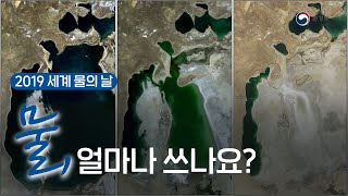 세계 물의 날 당신은 오늘 물을 얼마나 썼나요 [upl. by Kciredes]