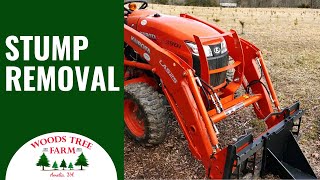 How Do Christmas Tree Farms Remove Stumps 242 [upl. by Nalac]