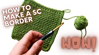 How To Single Crochet a Blanket Border  PERFECT FOR BEGINNERS [upl. by Letnohs]