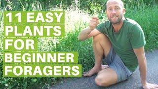 11 Easy Edible Plants for Beginner Foragers Eating Wild Food [upl. by Aeki]