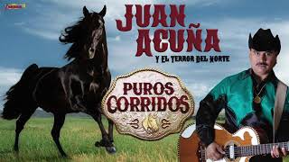 Juan Acuña y El Terror Del Norte  Puros Corridos Playlist Oficial [upl. by Wyn]