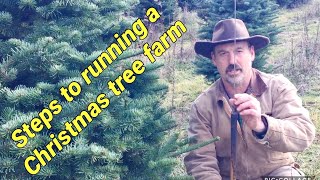 Running a Christmas Tree Farm A brief overview [upl. by Devland]