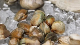 How To Clean and Prepare Clams [upl. by Eade]