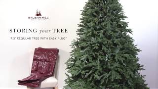 How to Store an Easy Plug Christmas Tree from Balsam Hill [upl. by Brad]