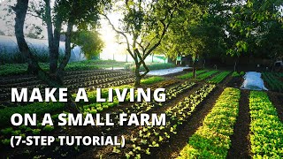 How to Start a Farm From Scratch Beginners Guide to Growing Vegetables for Profit [upl. by Anem]