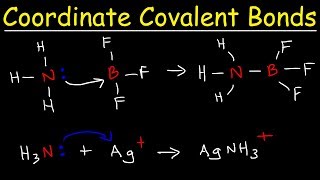 What is a Coordinate Covalent Bond [upl. by Airtal]