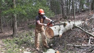 Husqvarna 445  Excellent Homeowner Chainsaw [upl. by Wesa]