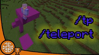 How To Use tp or teleport Commands In Minecraft Bedrock [upl. by Eve546]