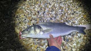 Selsey Bass Fishing [upl. by Nedyarb370]