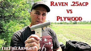 Phoenix Raven 25acp vs 3 Sheets of Plywood  TheFireArmGuy [upl. by Esmond659]